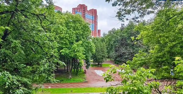 Химки, ул. Чапаева, д. 5