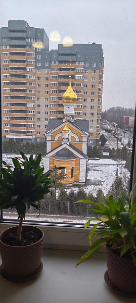 Дмитровский район, пгт Некрасовский, мкр-н Строителей д. 42