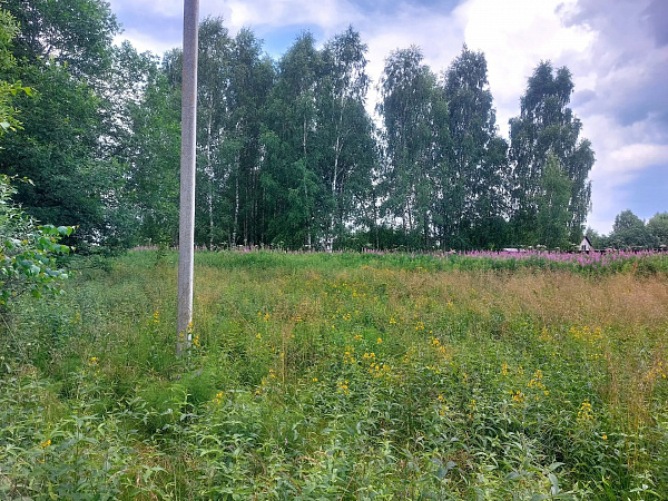Московская область, Дмитровский район, с/пос. Якотское, в районе д. Бешенково, с/т Ортопед, участок 37