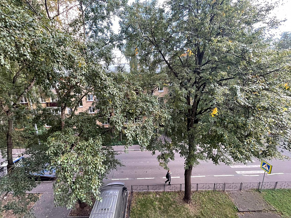 ул. Центральная, д. 5