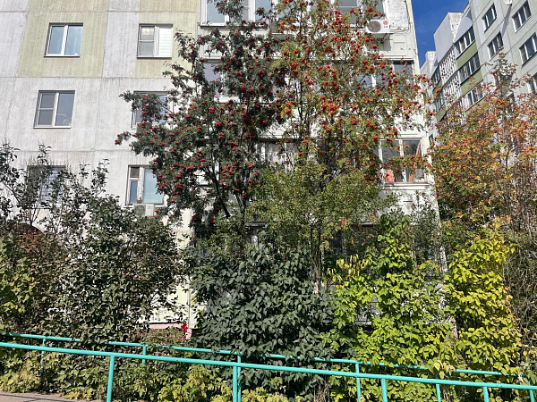 ул. Молодежная, д. 14/1 ул. Молодежная, д. 14/1